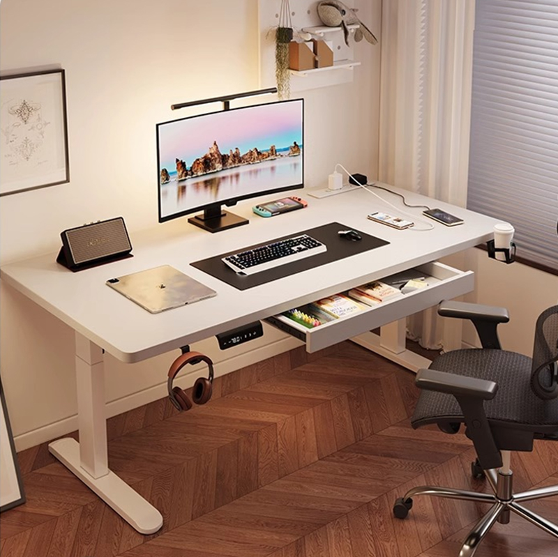 Modern Iron Dual Motor Electri - đánh giá và giá Setup Desk Monitor